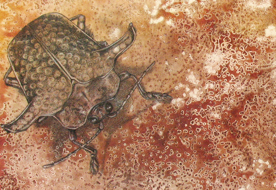 Illustration eines Käfers auf Leinwand. Detail. Mischtechnik.